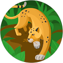 Cindy Furer profile picture